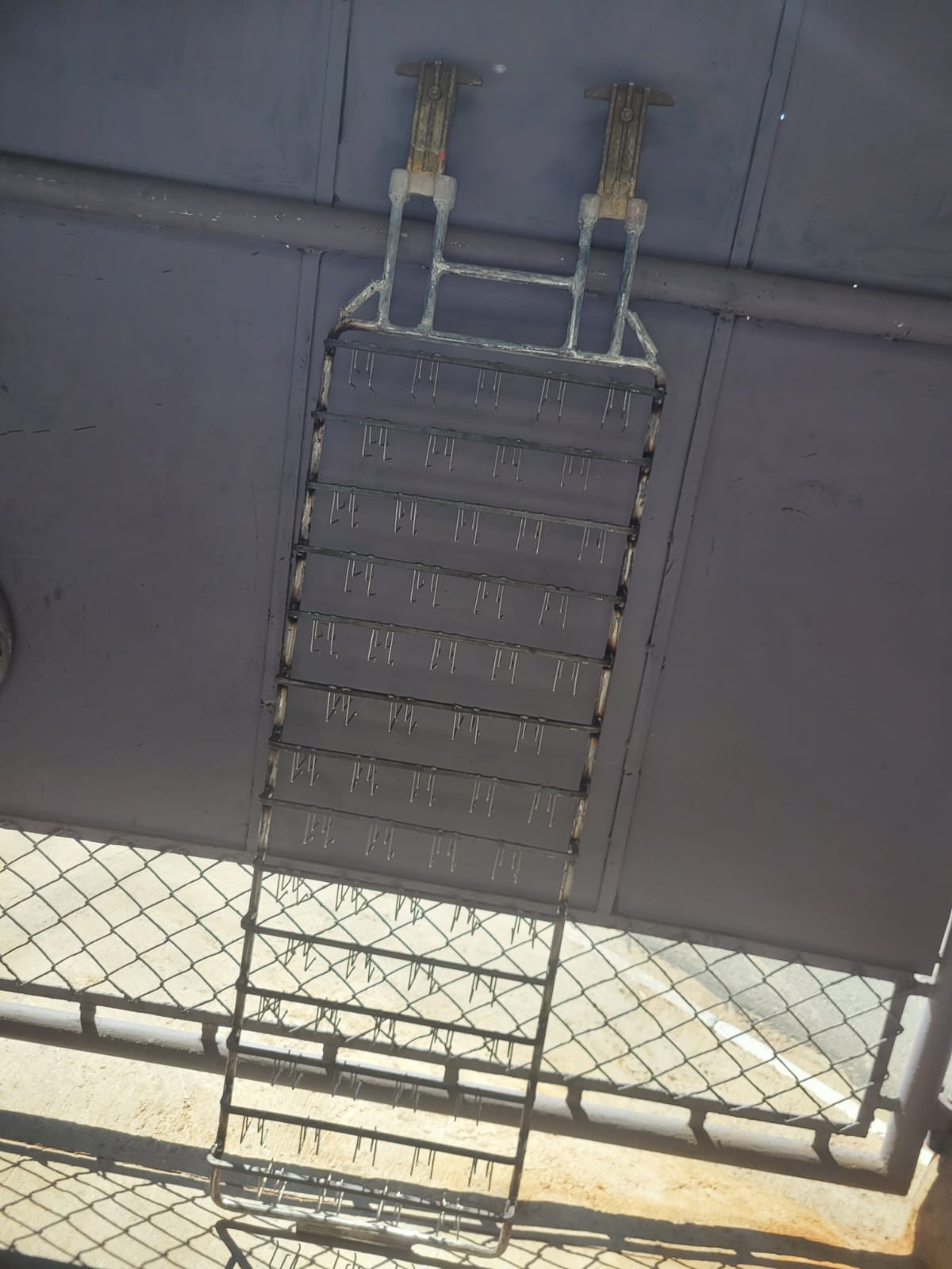 WhatsApp Image 2023-11-10 at 10.58.05.jpeg